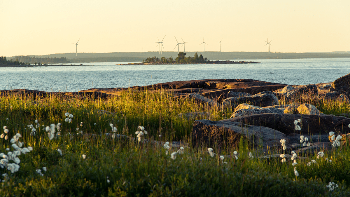 en extern kund har godkänts av HBV och det är Region Västerbotten,
